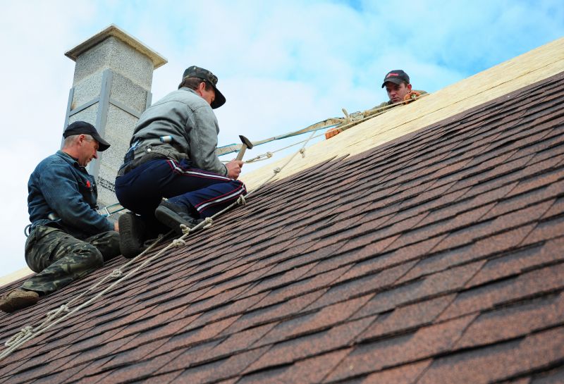 Professional Roofing Team